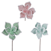 Ronis Fairy Floss Poinsettia 25cm with 50cm Stem Assorted