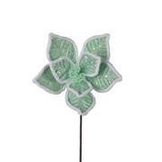 Ronis Fairy Floss Poinsettia 25cm with 50cm Stem Assorted