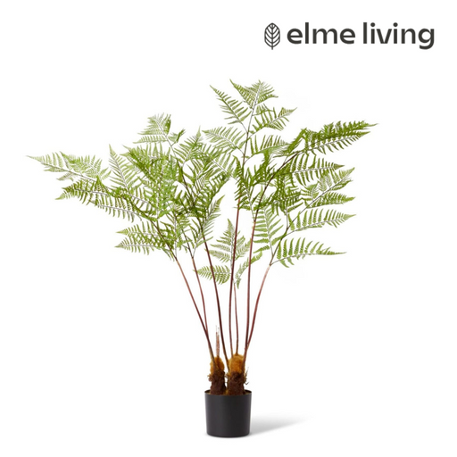Ronis Fern Woodland Potted Green 97x99x157cm