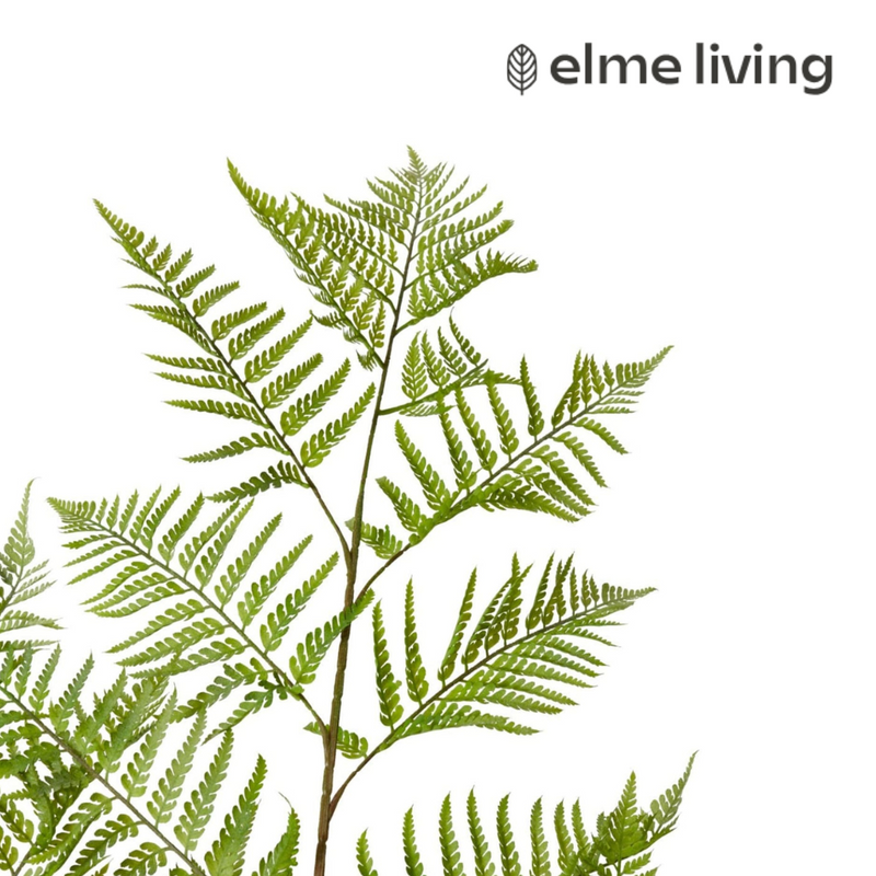 Ronis Fern Woodland Potted Green 97x99x157cm