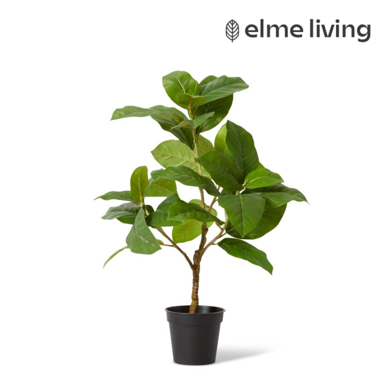 Ronis Ficus Elastica Potted 30x30x40cm Green