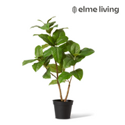 Ronis Ficus Elastica Potted Green 55x55x80cm – thumbnail