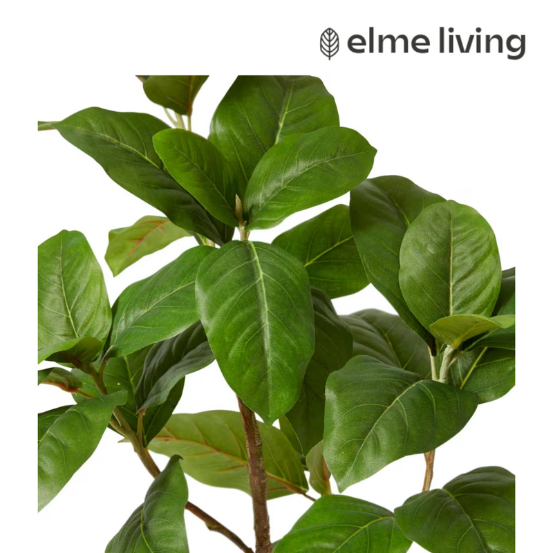 Ronis Ficus Elastica Potted Green 55x55x80cm