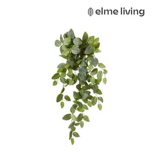 Ronis Fittonia Hanging Plant Variegated 35x30x75cm