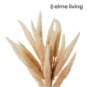 Ronis Foxtail Decor Bundle Light Brown 28x28x65cm – thumbnail