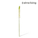 Ronis Foxtail Lily Stem Green/White 10x7x84cm