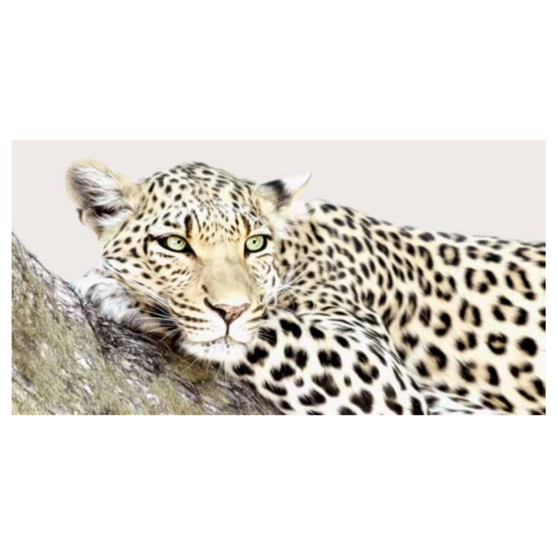 Ronis Frame Canvas Out of Africa 70x150cm 5x1cm Wood Grain