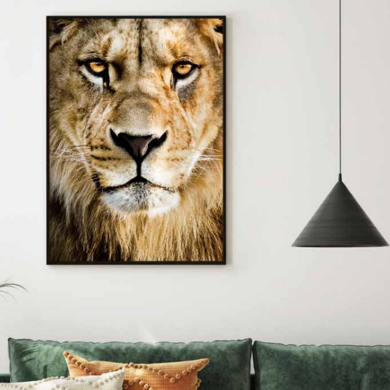 Ronis Frame Canvas Untamed 70x100cm 5x1cm Black Assorted