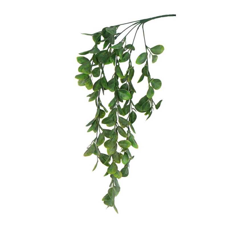 Aglaia Odorata hanging bush 74cm artificial trailing greenery