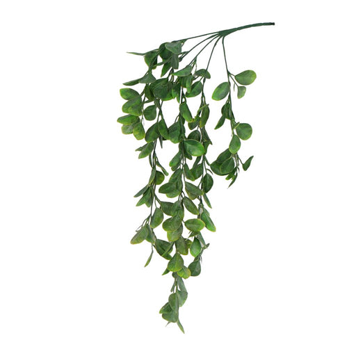 Aglaia Odorata hanging bush 74cm artificial trailing greenery