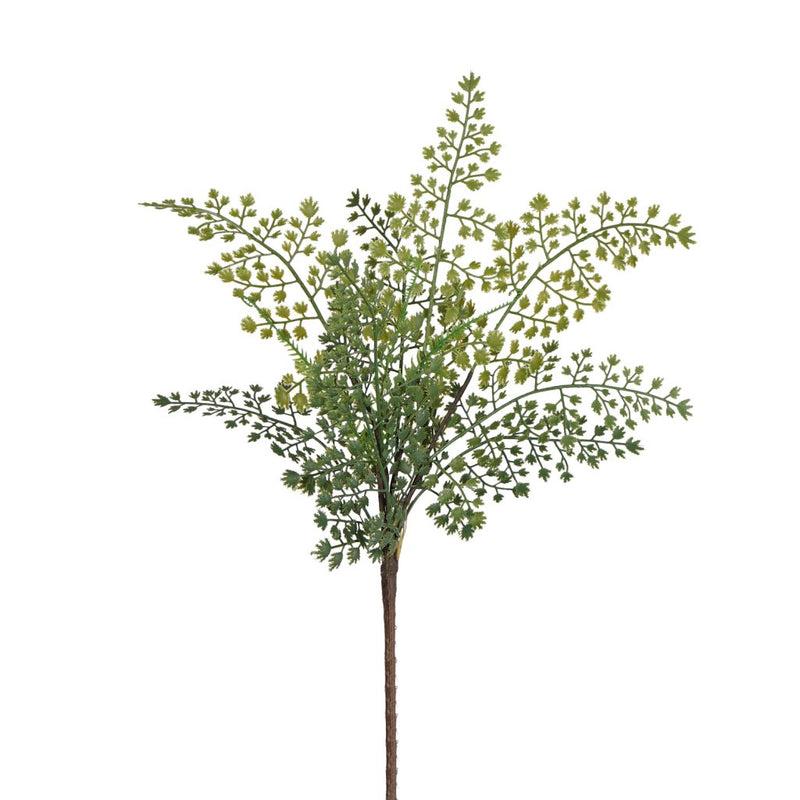 Delta maidenhair fern 48cm artificial foliage stem
