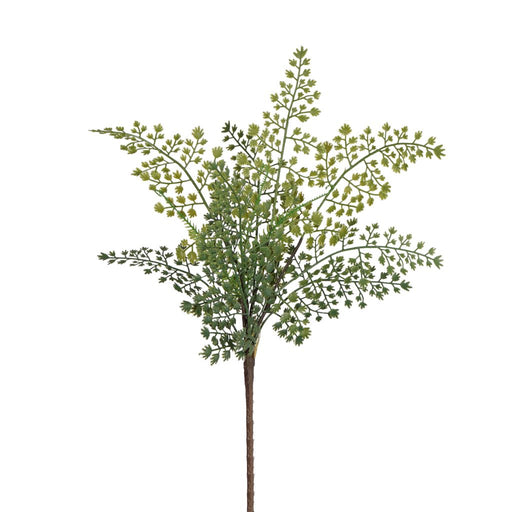 Delta maidenhair fern 48cm artificial foliage stem