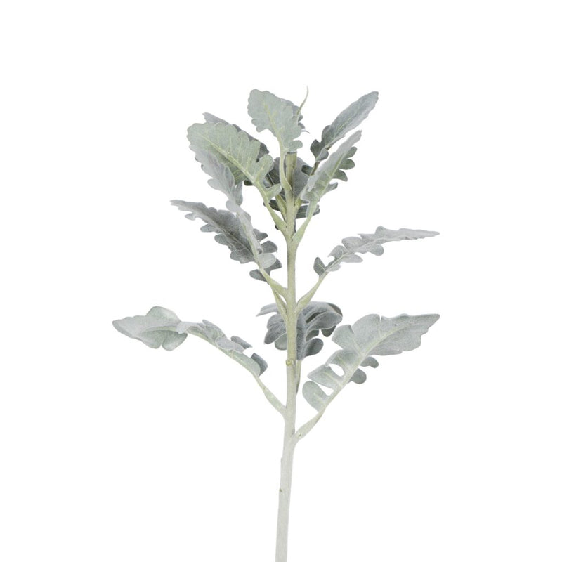 Dusty miller foliage stem 54cm artificial greenery