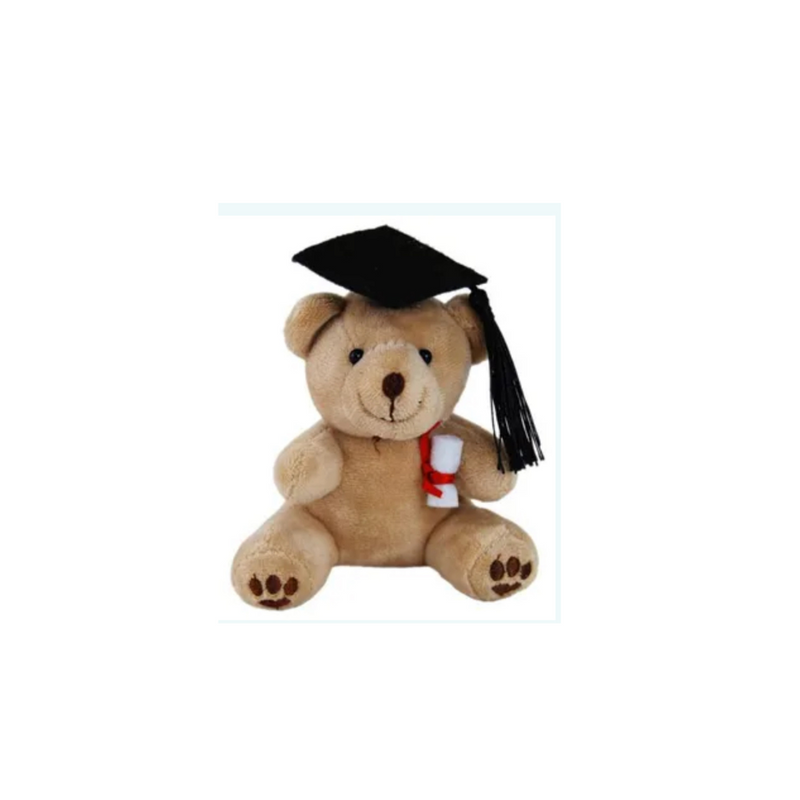 Graduation bear tiny 10cm plush toy with cap and scroll
