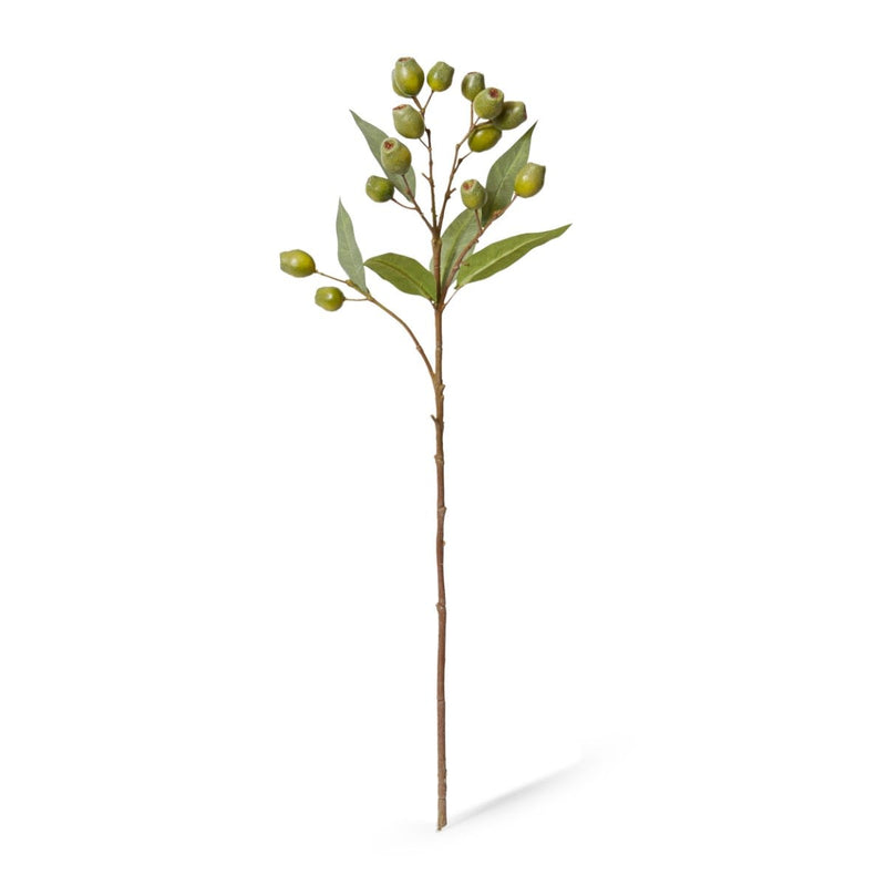 Artificial green eucalyptus gum nut spray 67cm