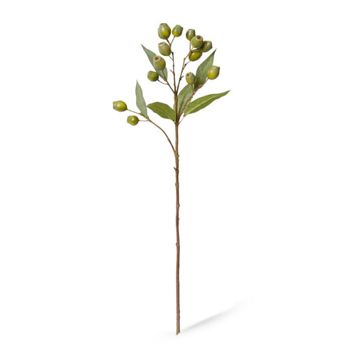 Artificial green eucalyptus gum nut spray 67cm
