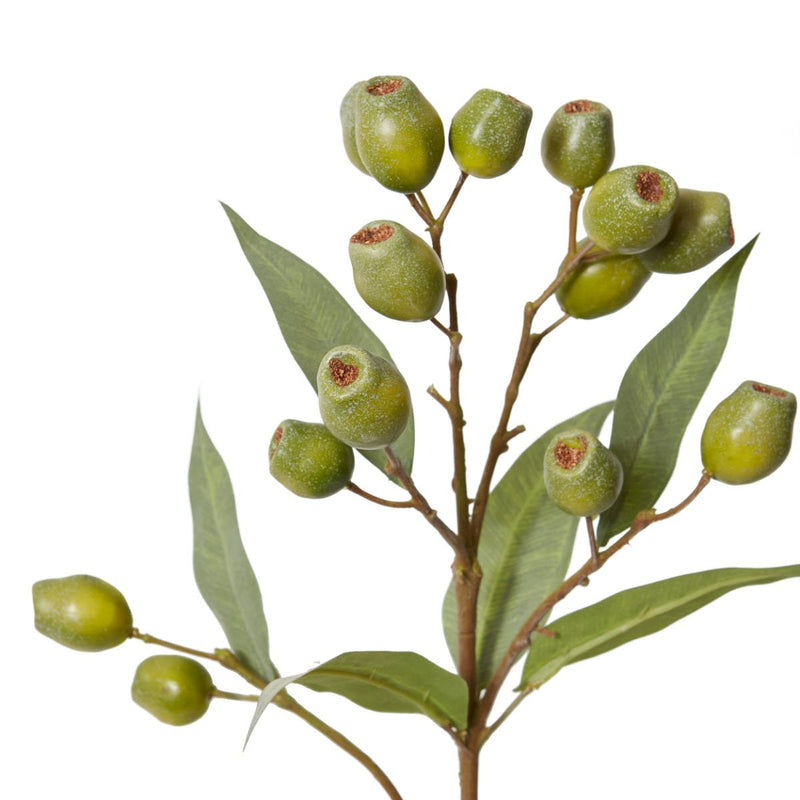 Eucalyptus Gum Nut Spray Green 24x20x67cm