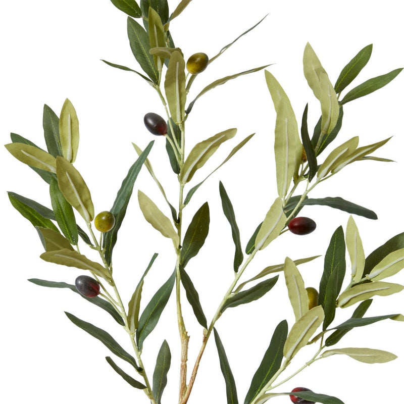 Olive Spray Grey Green 28x28x97cm