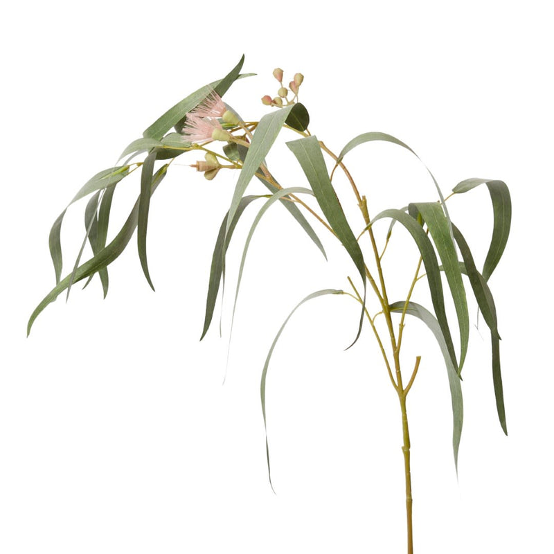 Eucy Flowering Spray Pink/Grey Green 28x16x112cm