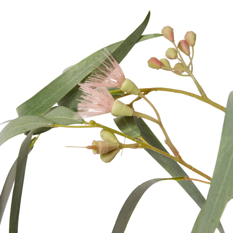 Eucy Flowering Spray Pink/Grey Green 28x16x112cm
