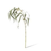 Artificial white and grey green eucalyptus flowering spray 112cm – thumbnail