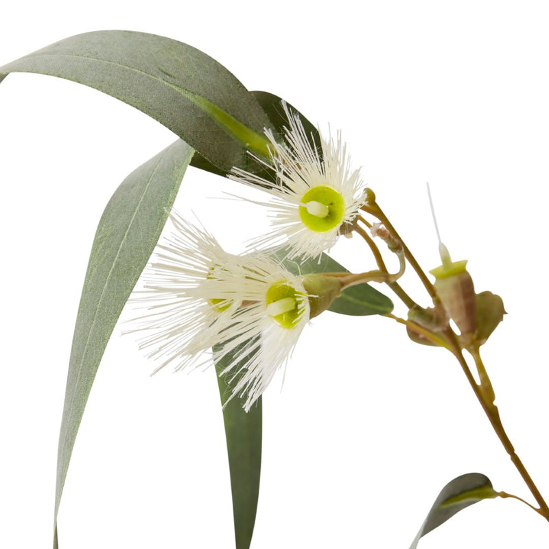 Eucy Flowering Spray White/Grey Green 28x16x112cm