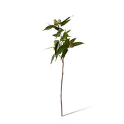 Artificial green eucalyptus seeding nut spray 83cm – thumbnail