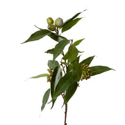 Eucy Seeding Nut Spray Green 33x14x83cm – thumbnail