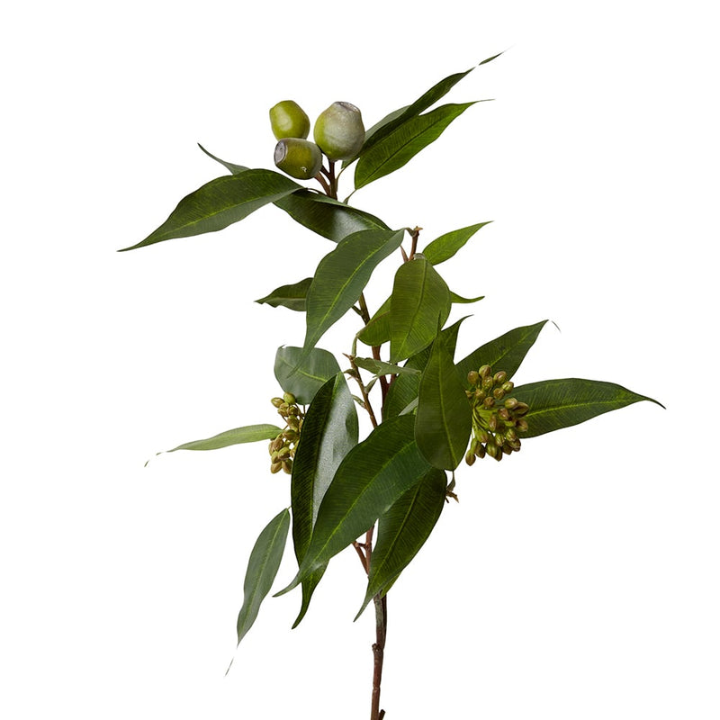 Eucy Seeding Nut Spray Green 33x14x83cm