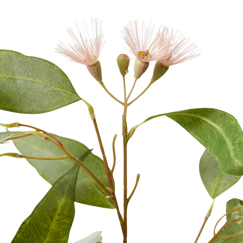 Eucalyptus Flowering Spray Pink & Green 30x14x91cm