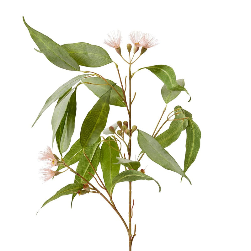 Eucalyptus Flowering Spray Pink & Green 30x14x91cm