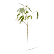 Artificial white and green eucalyptus flowering spray 91cm – thumbnail