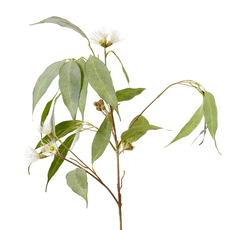 Eucalyptus Flowering Spray White & Green 30x14x91cm