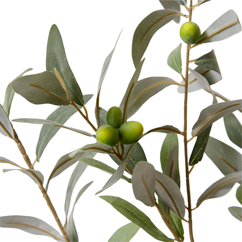 Olive Leaf Branch Grey Green 46x20x114cm