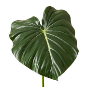 Philodendron Leaf Stem Green 42x36x96cm – thumbnail