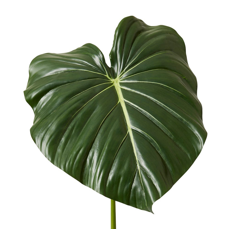 Philodendron Leaf Stem Green 42x36x96cm