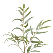 Eucalyptus Spray Grey Green 26x5x117cm – thumbnail