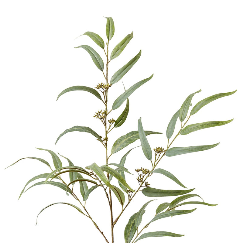 Eucalyptus Spray Grey Green 26x5x117cm