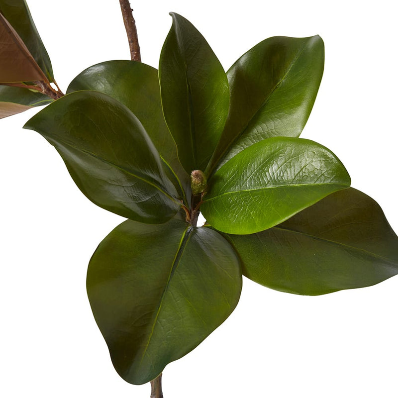 Magnolia Classic Leaf Spray Green 28x45x89cm