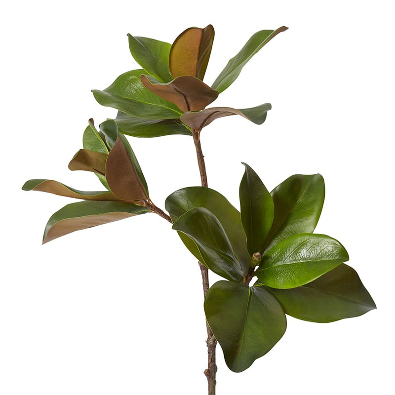 Magnolia Classic Leaf Spray Green 28x45x89cm