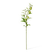 Artificial green milk weed leaf stem 114cm – thumbnail
