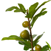 Fig Branch Green 20x32x86cm – thumbnail