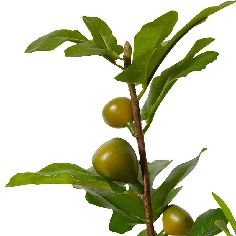 Fig Branch Green 20x32x86cm