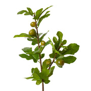 Fig Branch Green 20x32x86cm – thumbnail