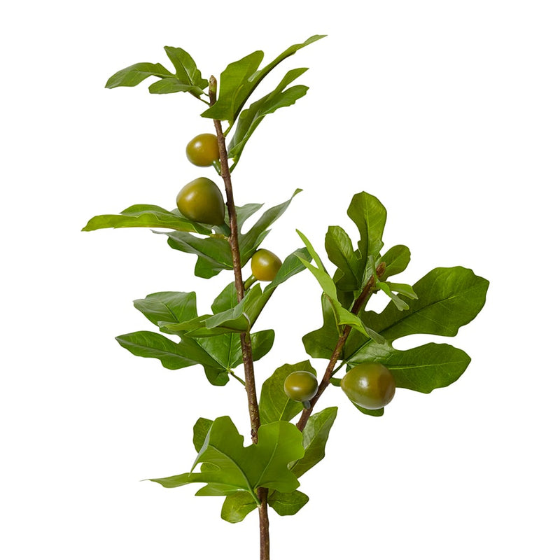 Fig Branch Green 20x32x86cm