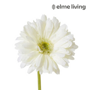 Ronis Gerbera Daisy Stem Off White 13x13x53cm
