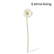 Ronis Gerbera Daisy Stem Off White 13x13x53cm