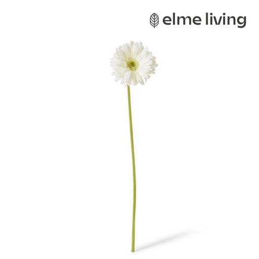 Ronis Gerbera Daisy Stem Off White 13x13x53cm