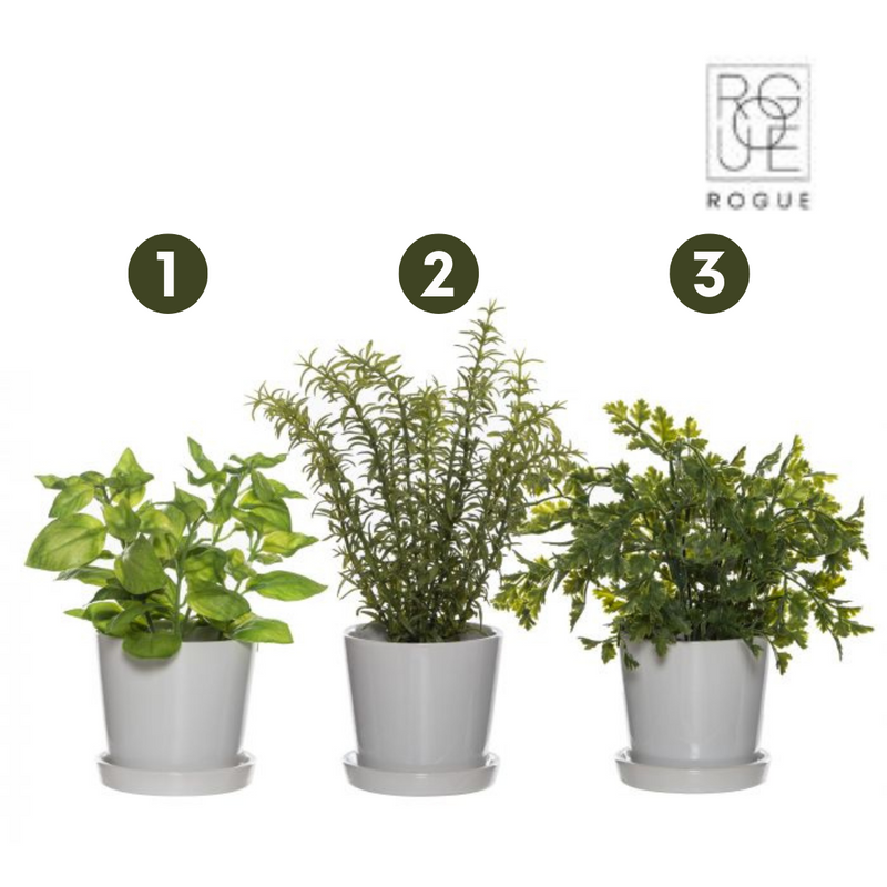 Ronis Greenery Ceramic Pot Green 27cm 3 Asstd