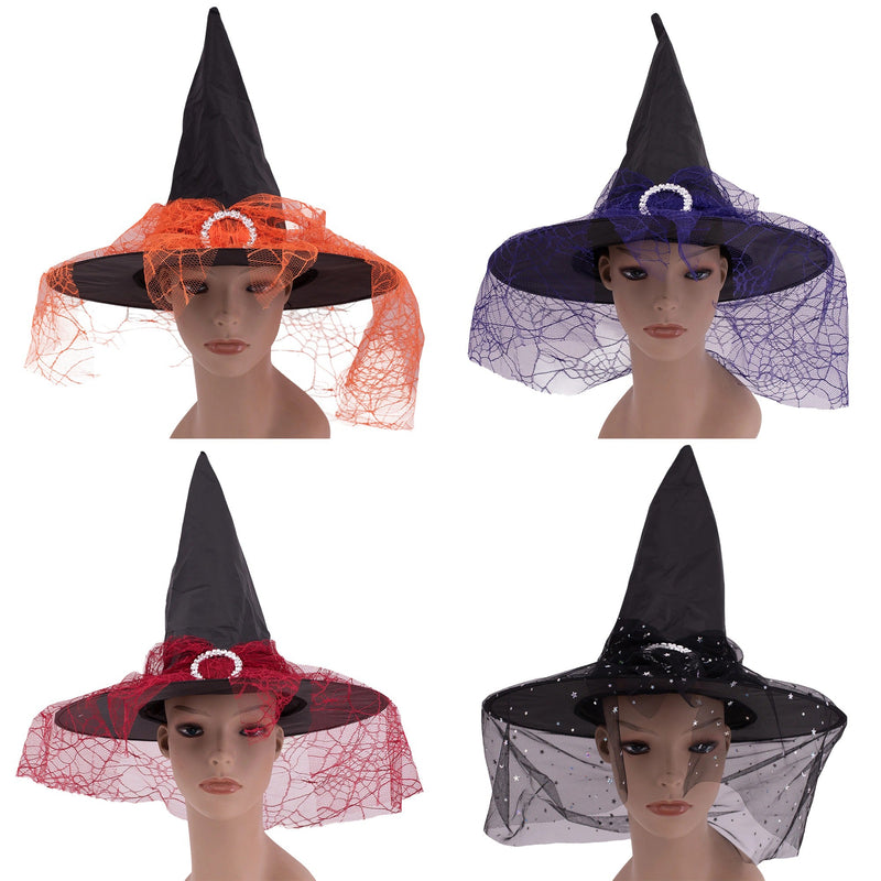 Witch Hat with Veil